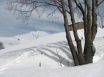 34 Ombre d'albero verso l'Arera